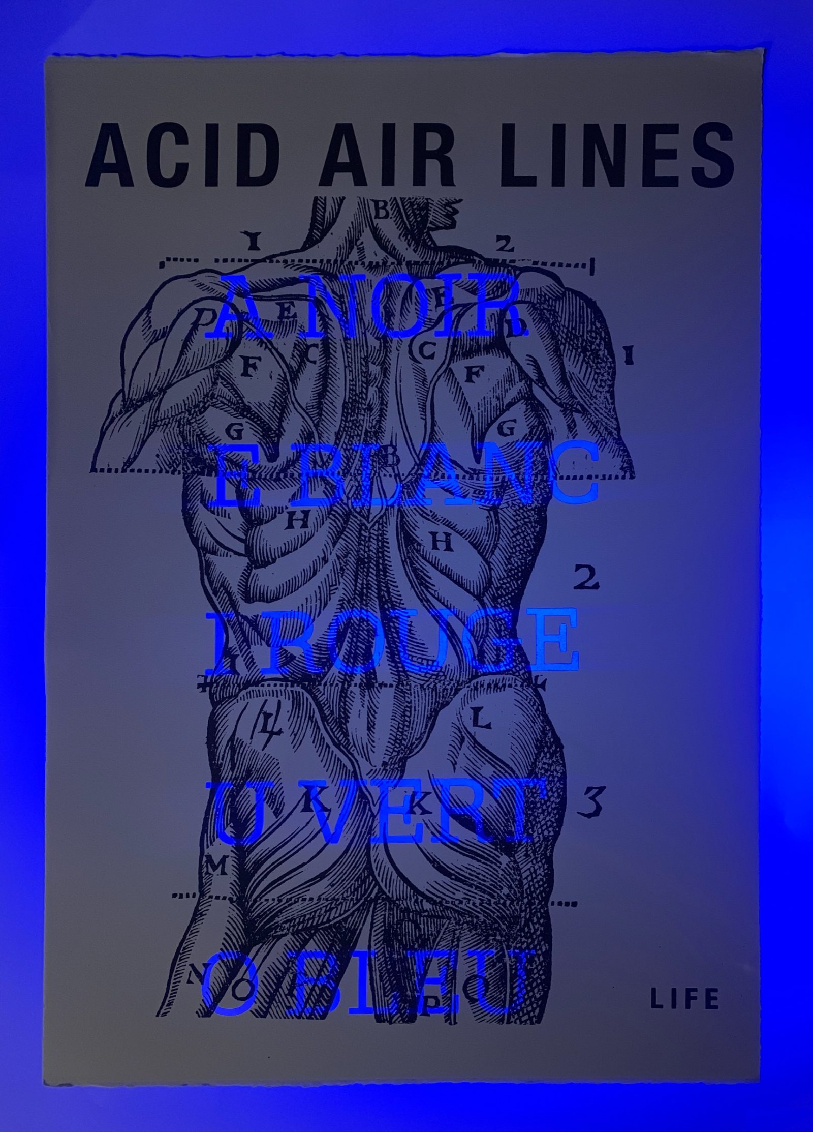 Acid Air lines 2 : A noir, E blanc… — Un corps, des lettres, Arthur Rimbaud., planche 002.4
