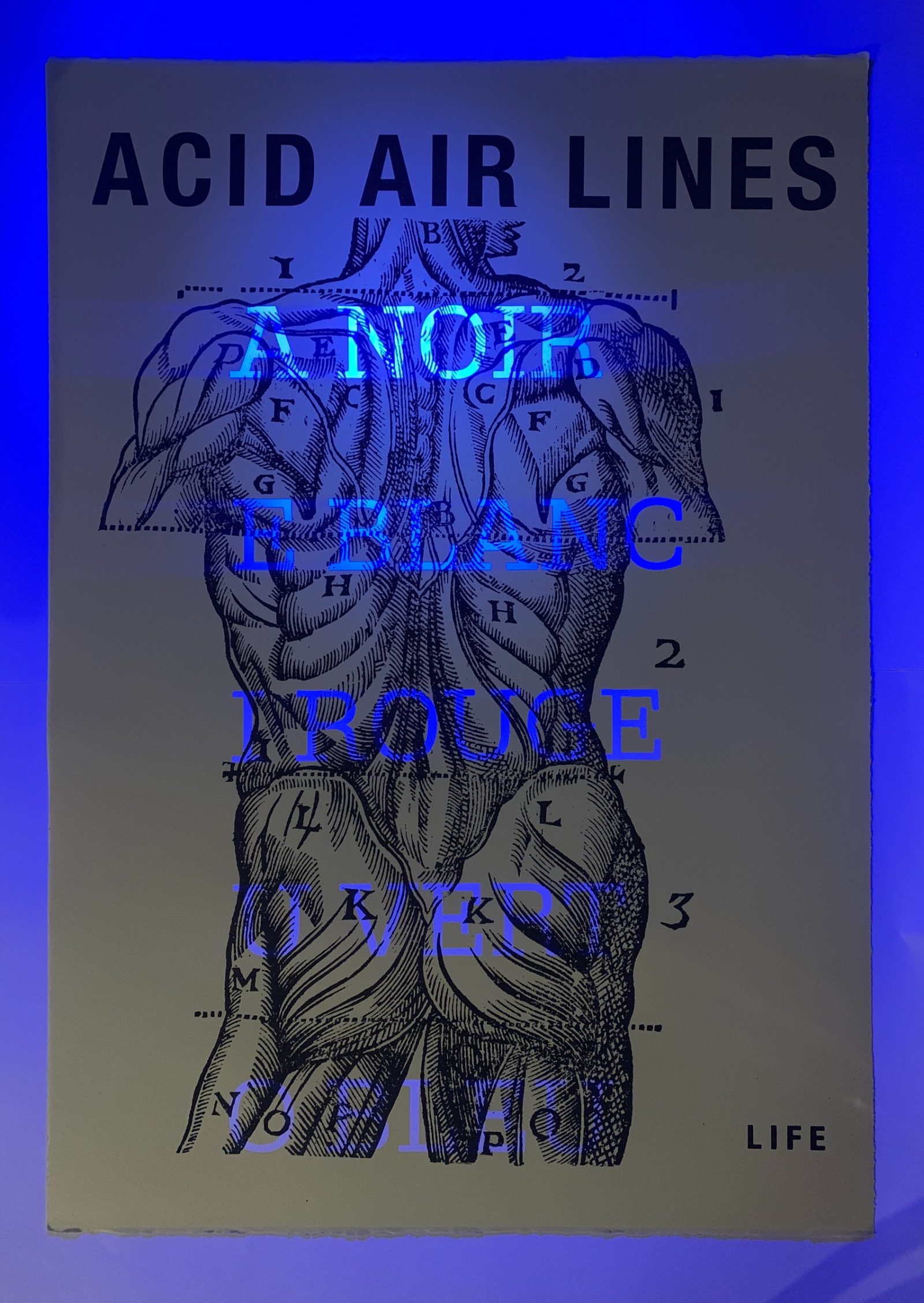 Acid Air lines 2 : A noir, E blanc… — Un corps, des lettres, Arthur Rimbaud., planche 002.3