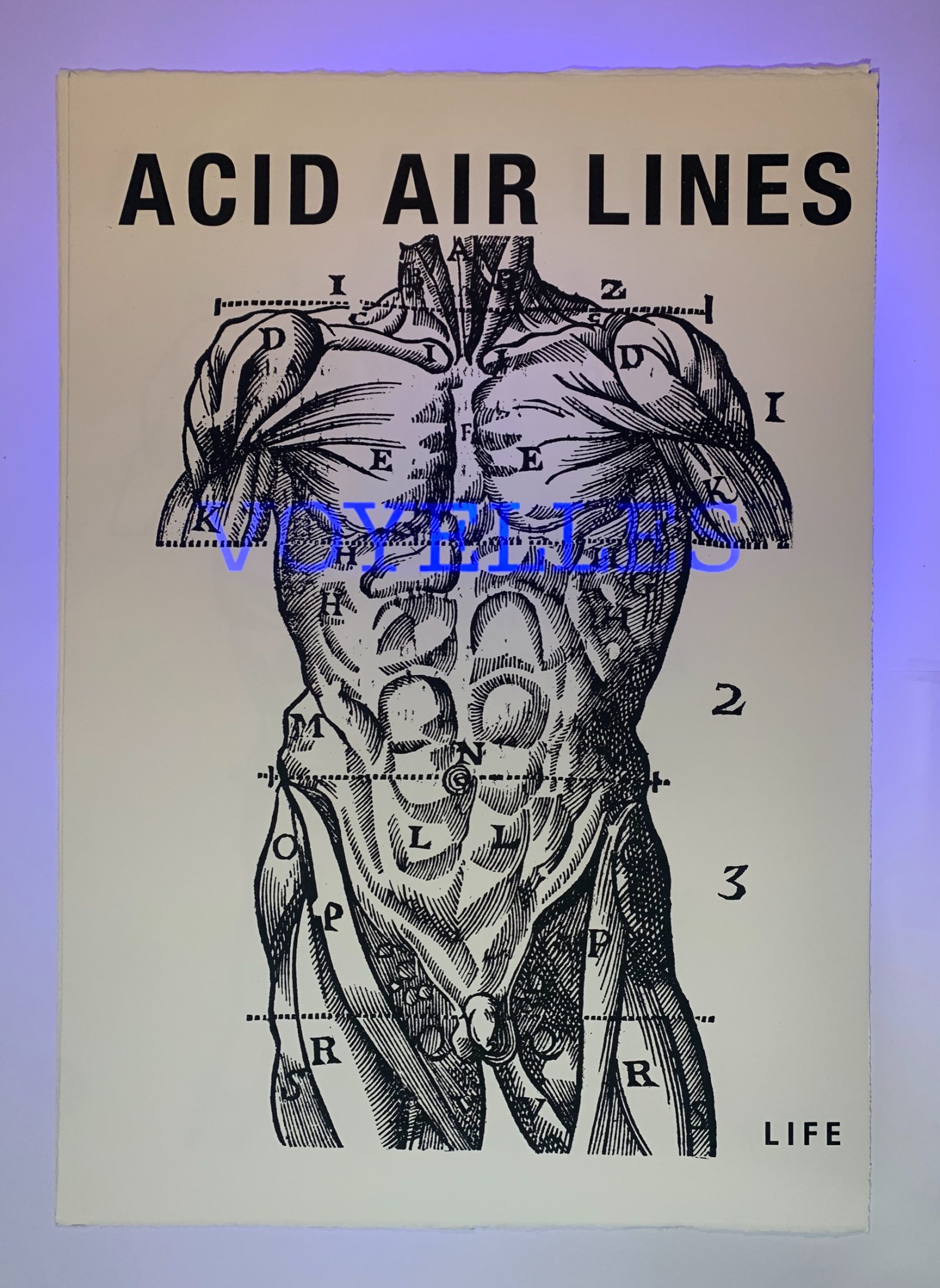 Acid Air lines 1 : voyelles — Un corps, des lettres, Arthur Rimbaud., planche 001.2