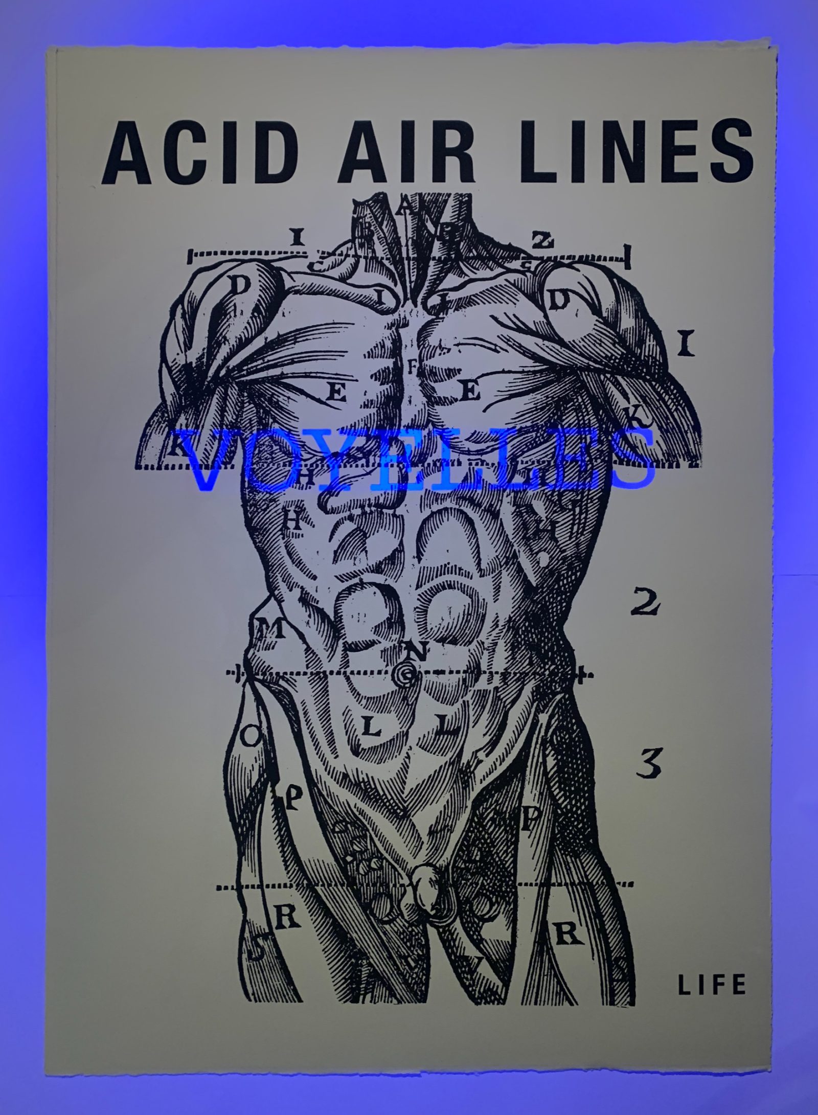 Acid Air lines 1 : voyelles — Un corps, des lettres, Arthur Rimbaud., planche 001.3