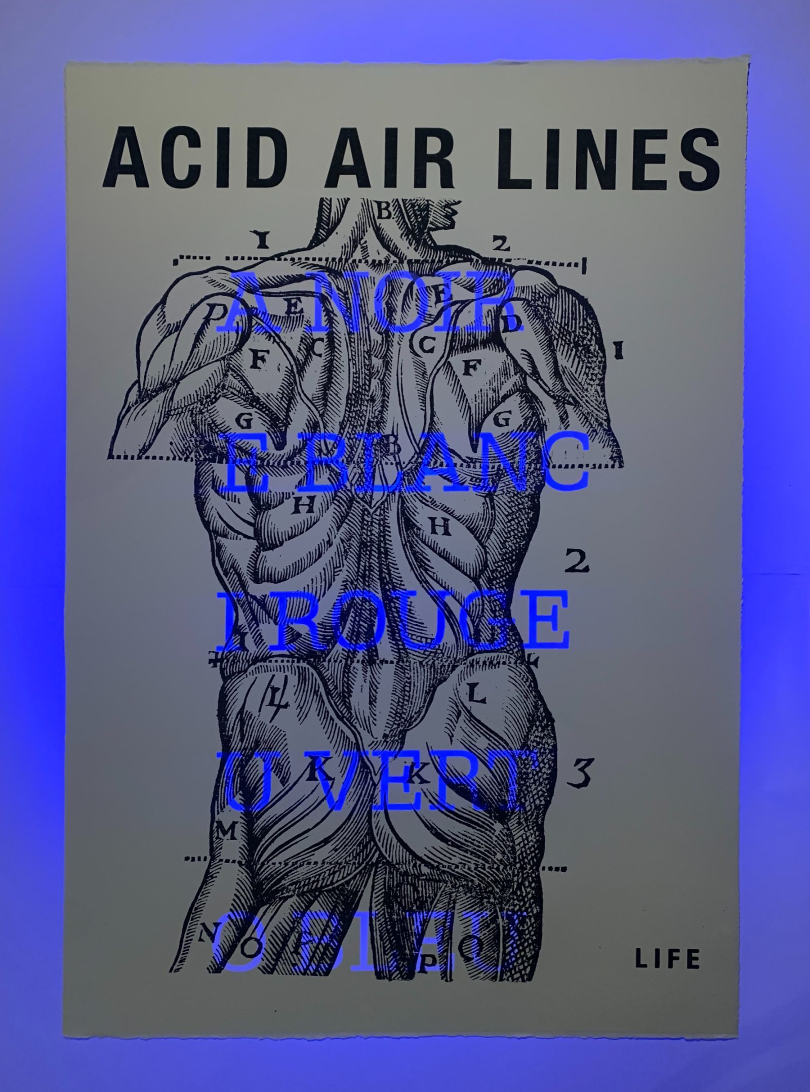 Acid Air lines 2 : A noir, E blanc… — Un corps, des lettres, Arthur Rimbaud., planche 002.2